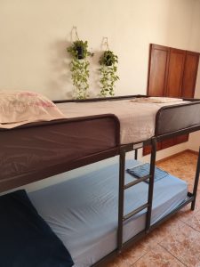 BANANA DOB1 LITERAS 13 225x300