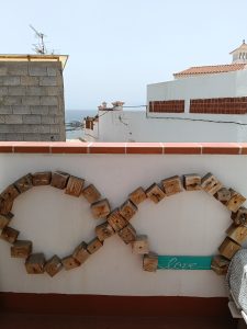 IMG20250715153323 225x300