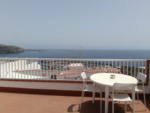 IMG20250715154249 300x225