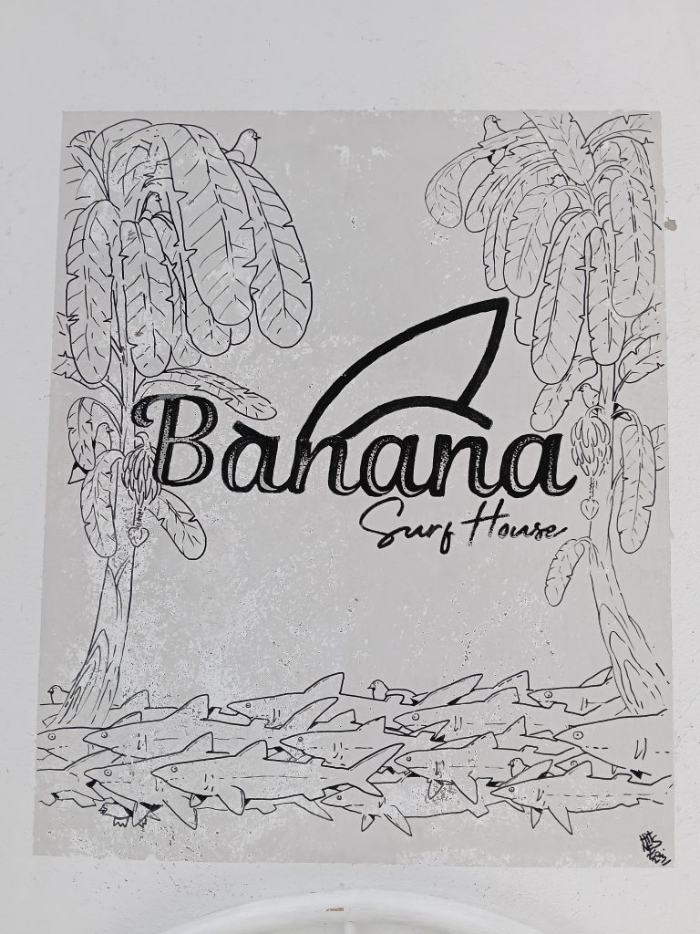 IMG20250715154502 768x1024